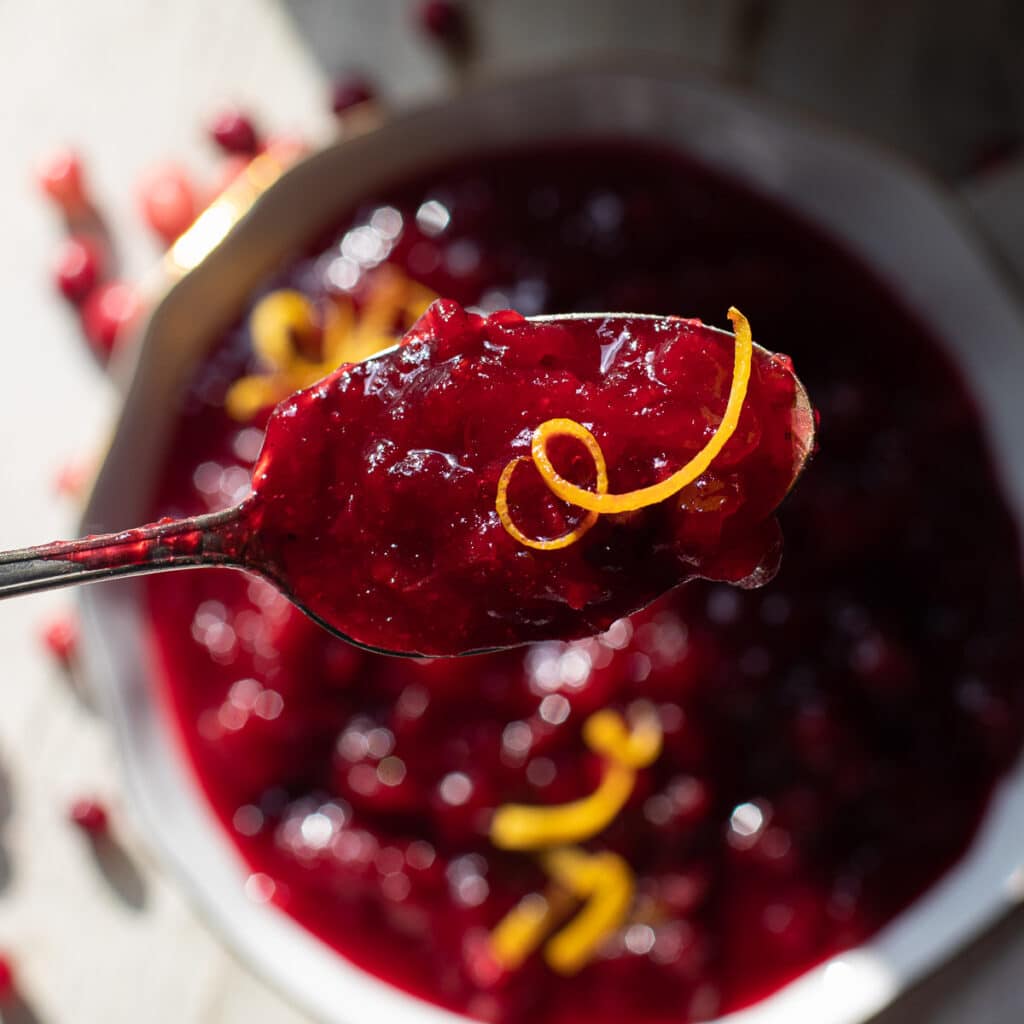 A spoonful of whole berry cranberry sauce