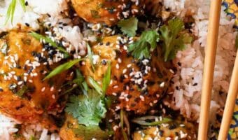 cropped-Ginger-Soy-Chicken-Meatballs1-2.jpg