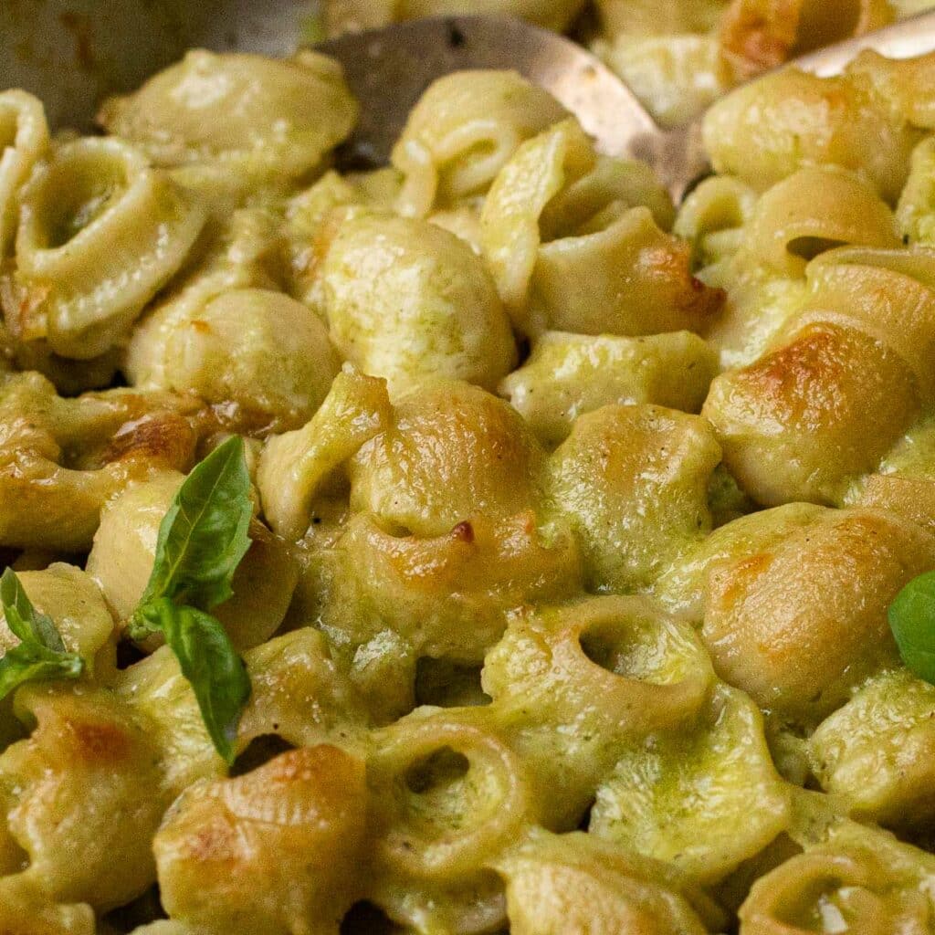 Baked elbow pasta with pesto sauce and cheese