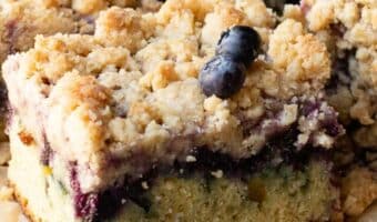 cropped-Blueberry-Sour-Cream-Crumb-Cake1.jpg