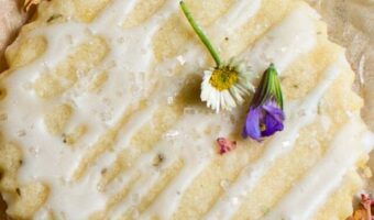 cropped-Lemon-Shortbread-Cut-Out-Sugar-Cookies5.jpg