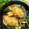 Image showcasing Image result for canine fruit and berry recipes