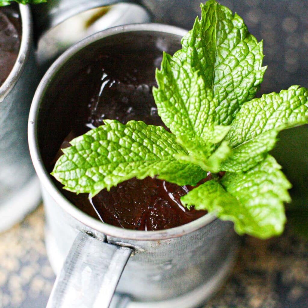 fresh mint coming out of a mint julep cup