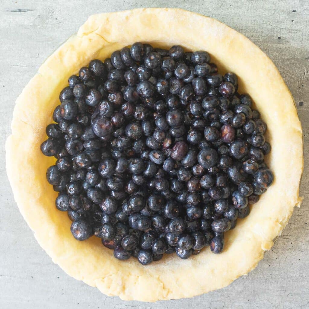 blueberries in an unbaked pie crust