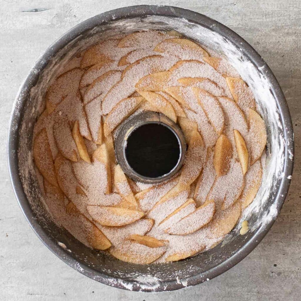sliced apples arranged in an overlapping pattern in a tube pan with cinnamon and sugar