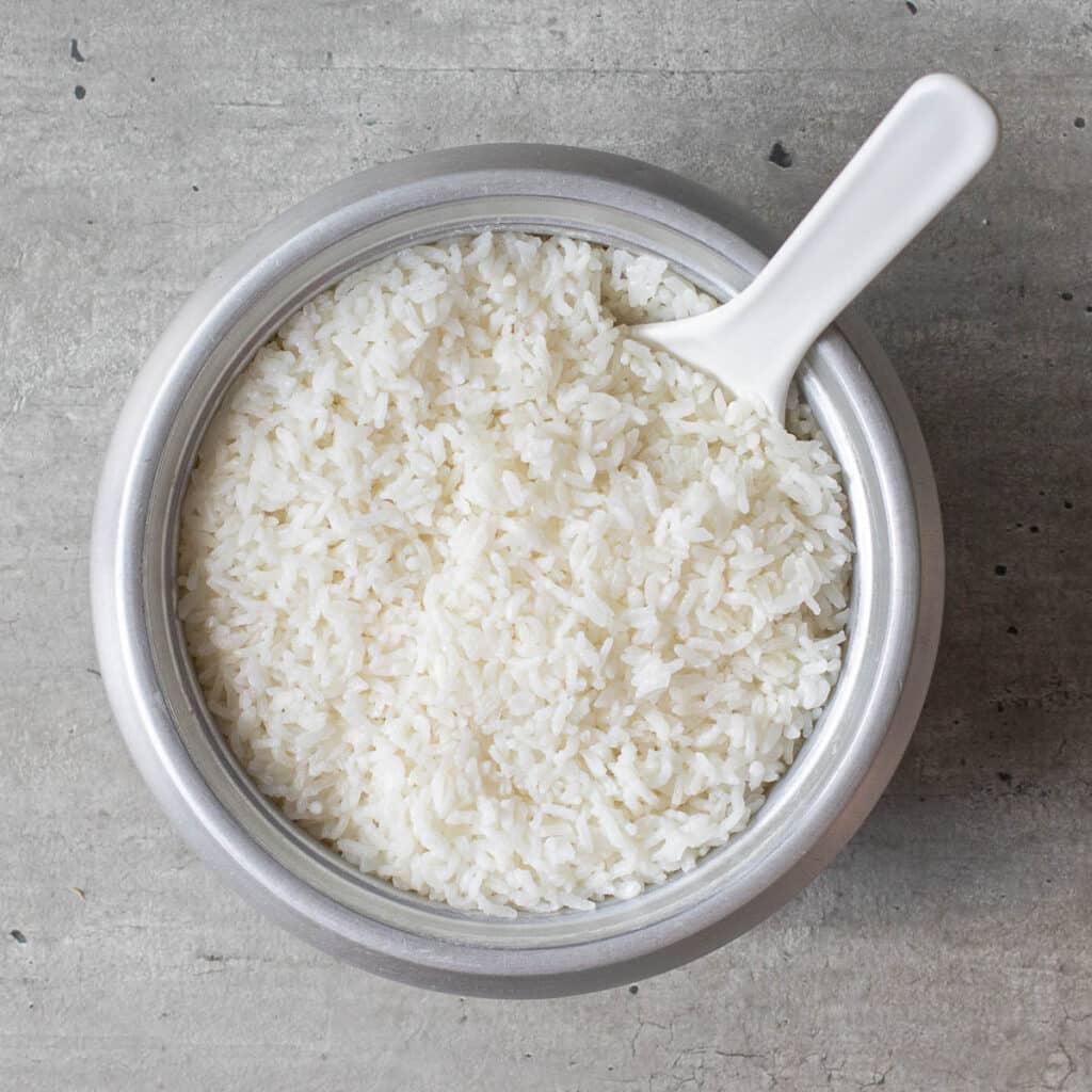 cooked rice in a silver rice cooker