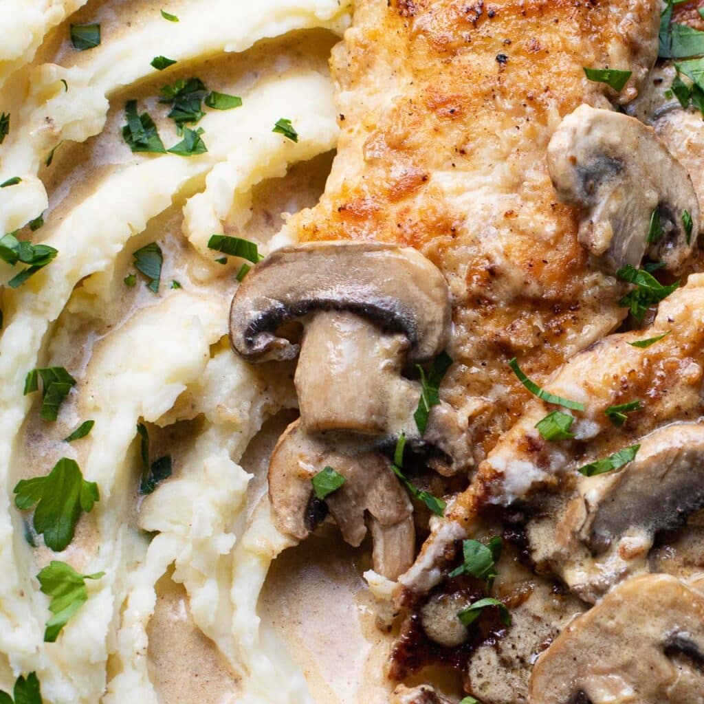 close up of Champagne chicken with mushrooms and whipped potatoes