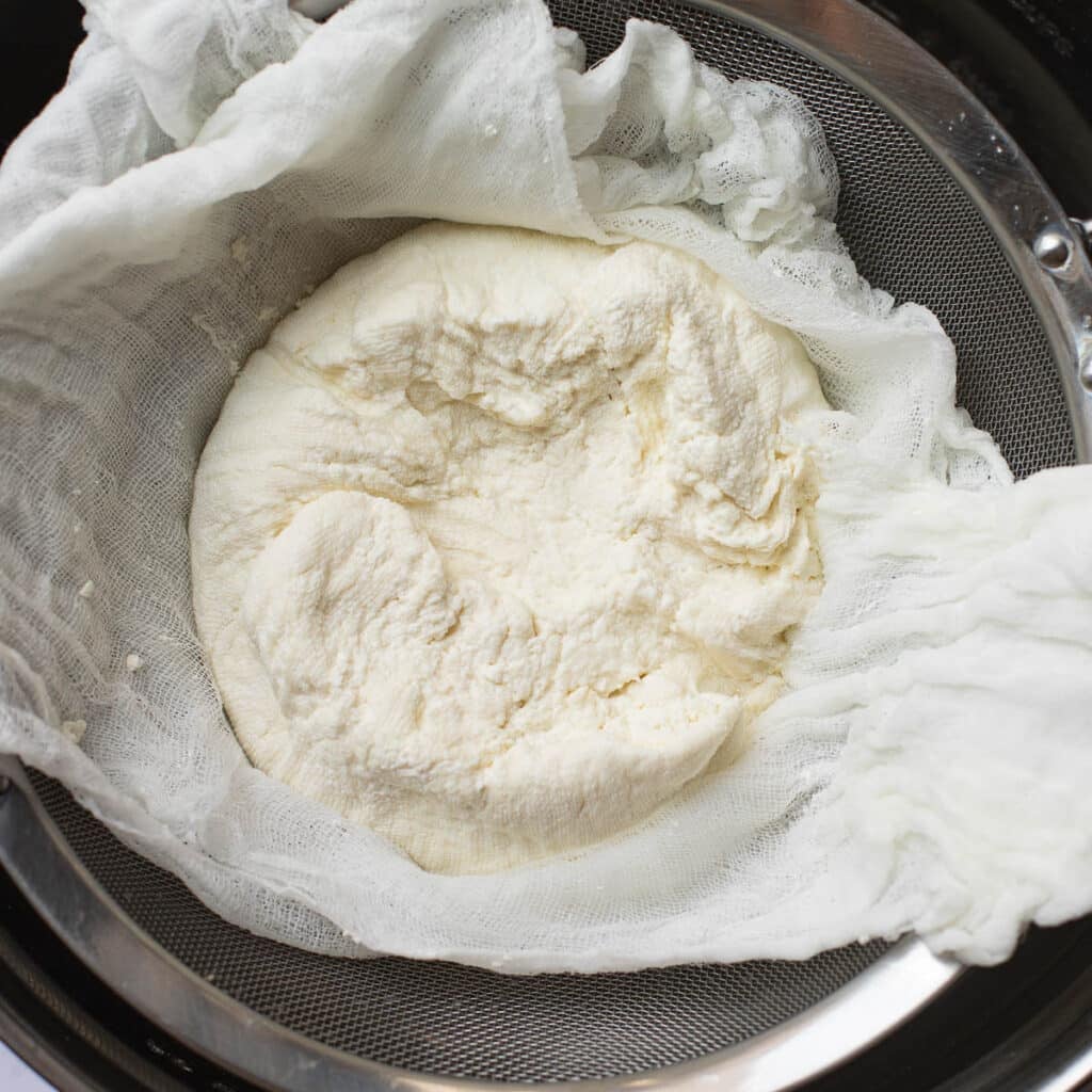 dry cheese curds laying on cheese cloth