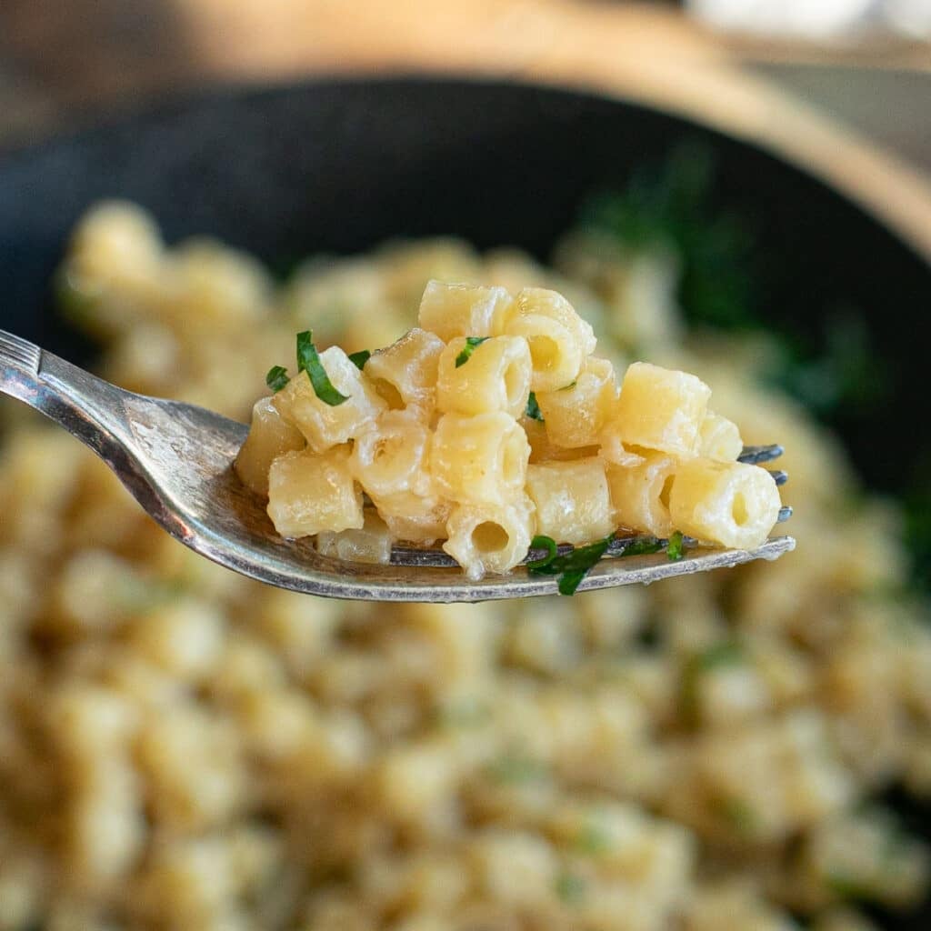 a fork holding ditalini pasta