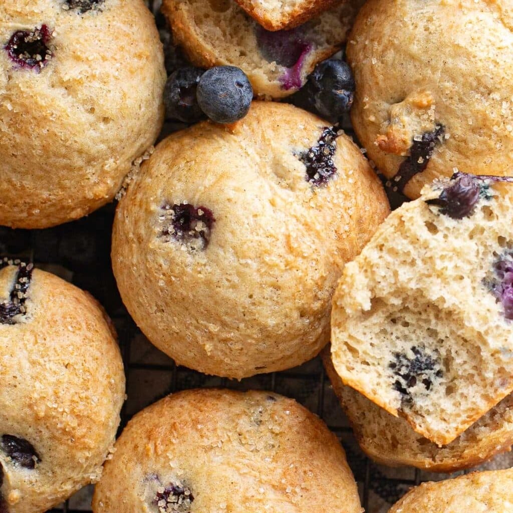 blueberry cottage cheese muffins