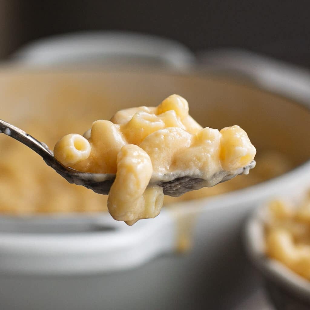 a spoon holding homemade Kraft mac and cheese