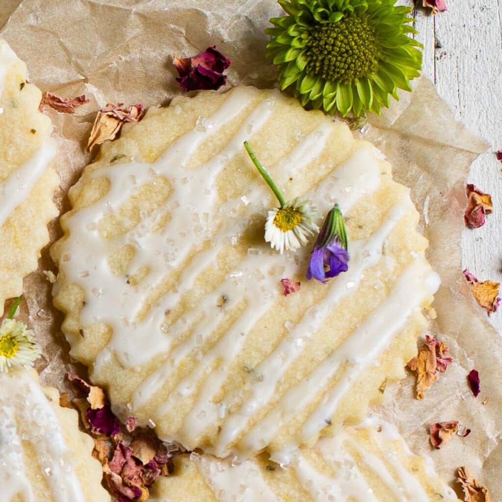 Lemon Shortbread Cut Out Sugar Cookies