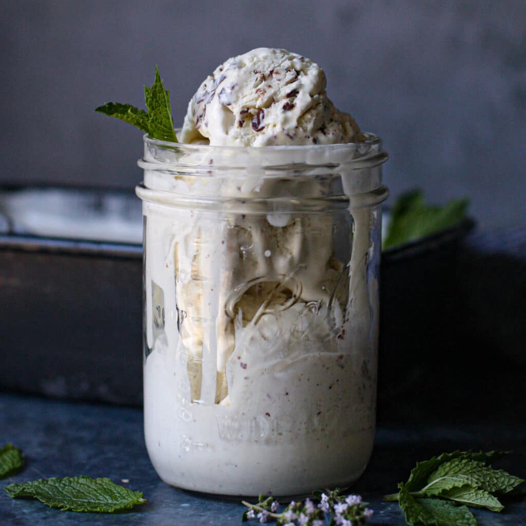 No-Churn Mint Chocolate Chip Ice Cream