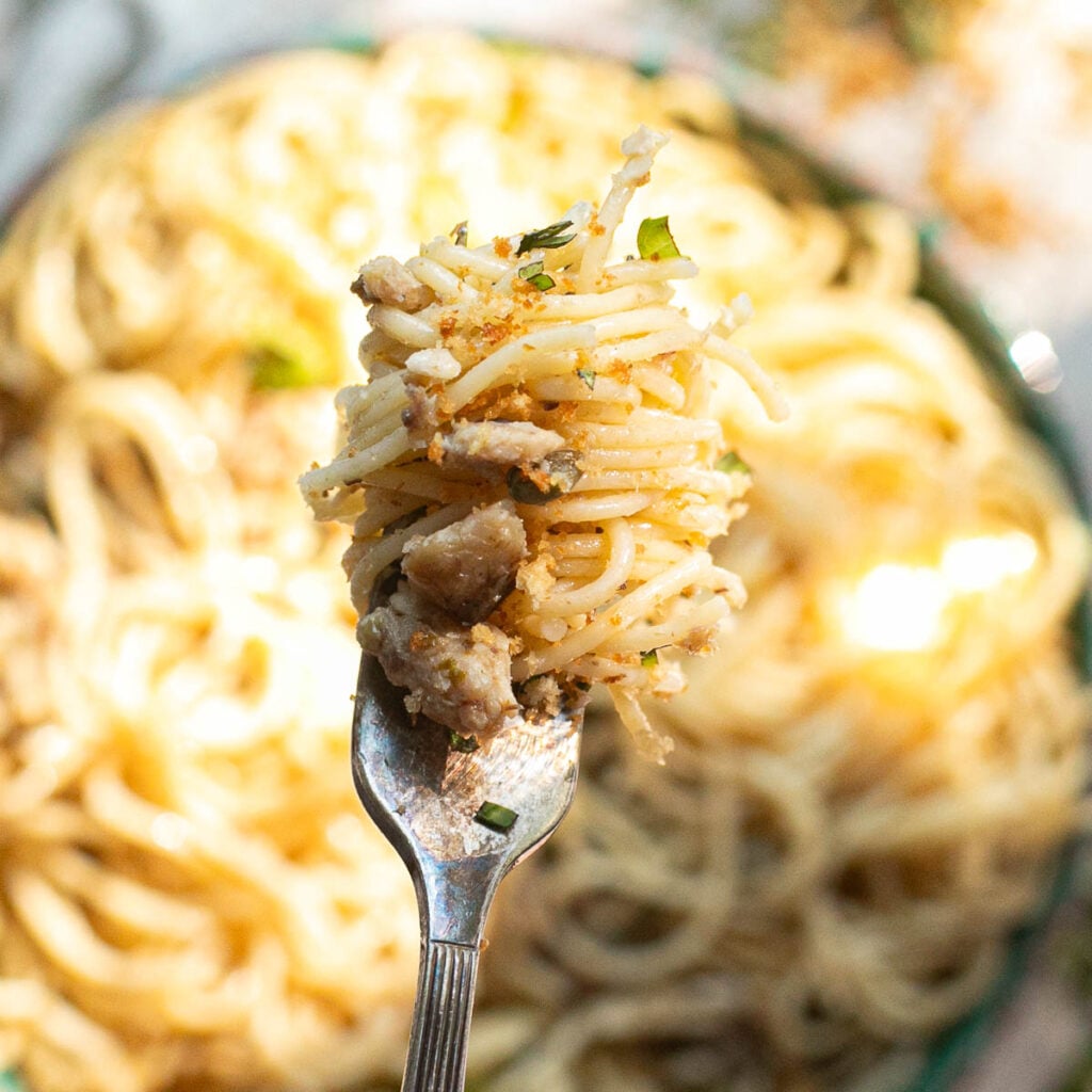 a fork with sardine pasta twirled around it