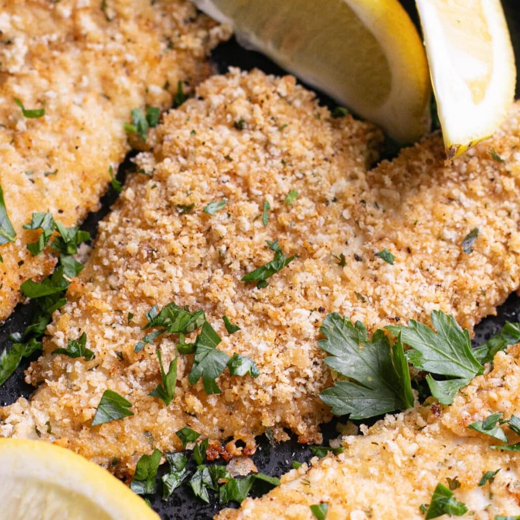 a Parmesan panko crusted flounder fillet