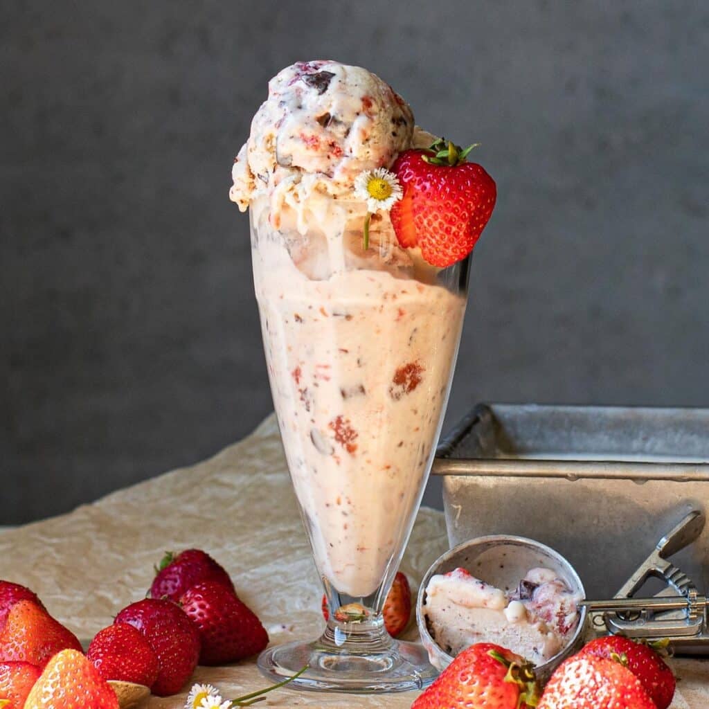 Strawberry Chocolate Chip Ice Cream