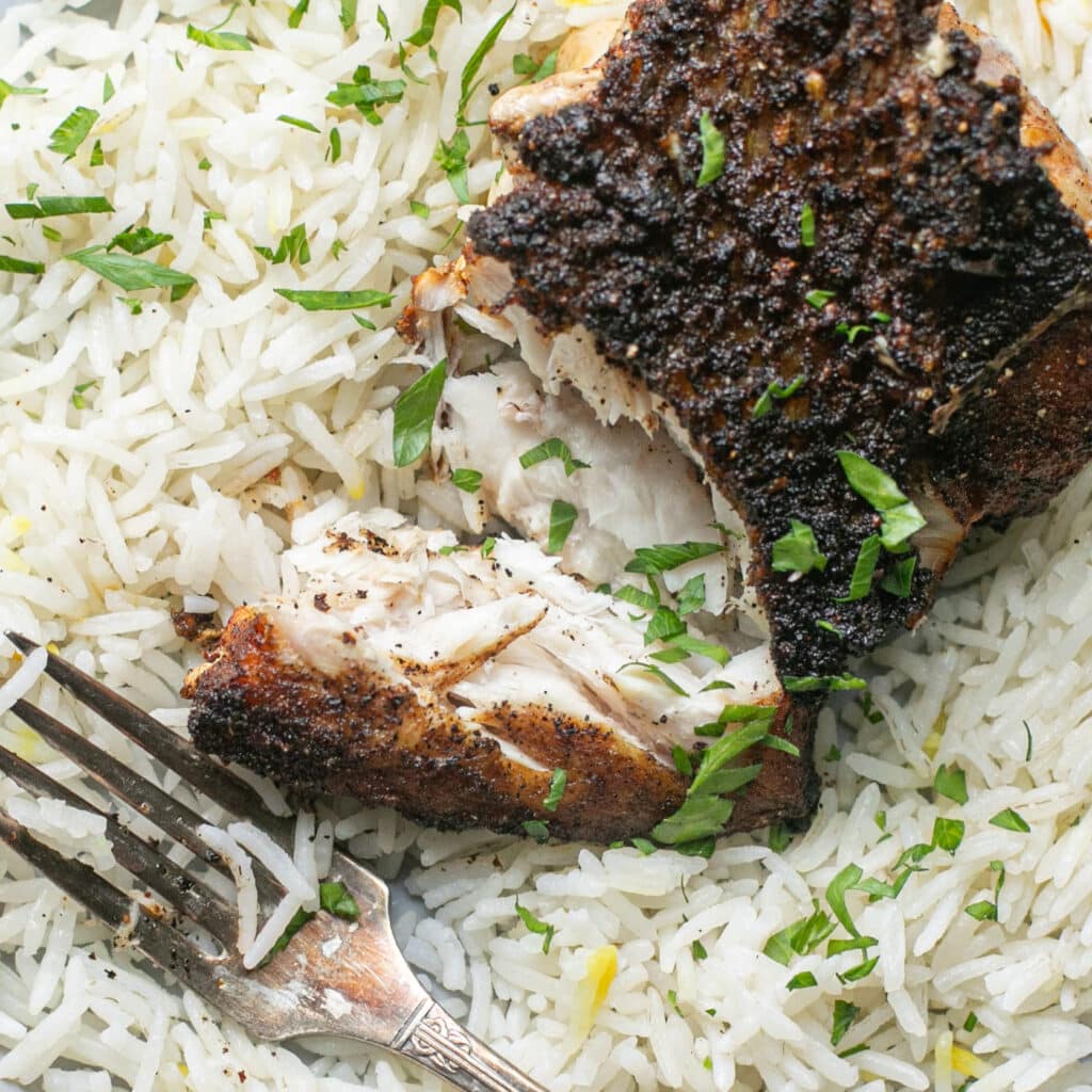 blackened snapper fillet on a bed of white rice
