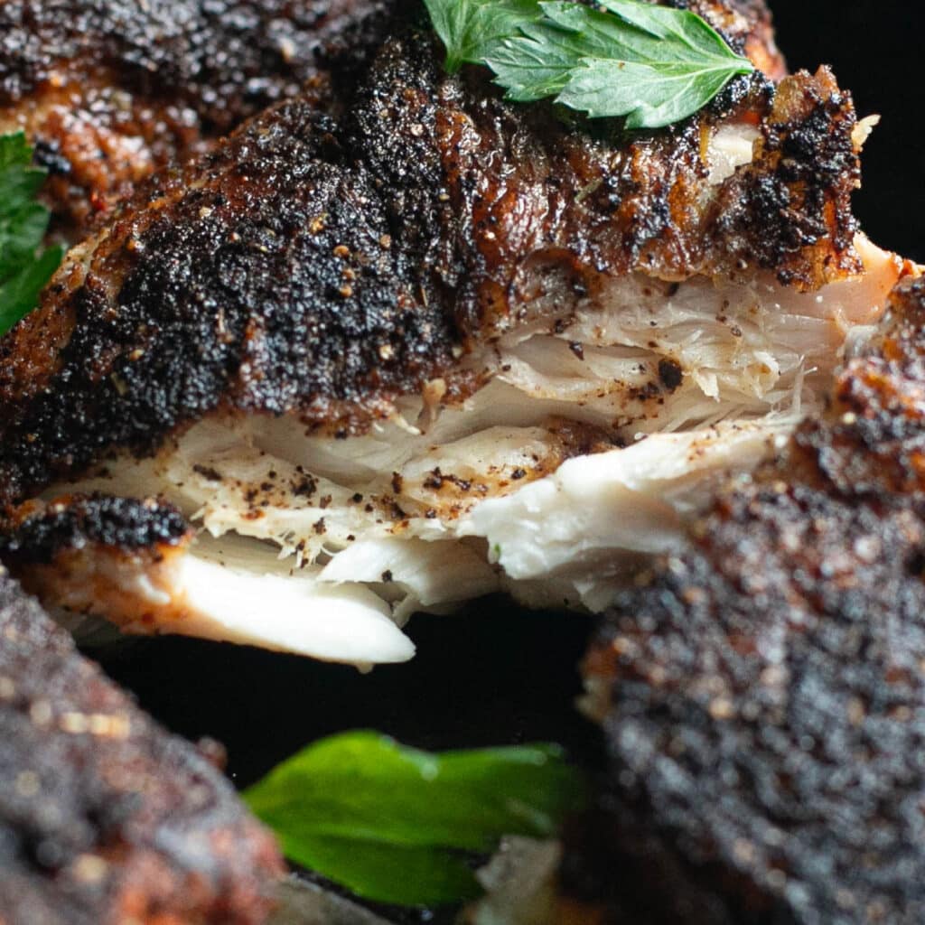close up view of flaky flesh of blackened snapper