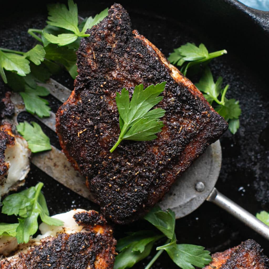 blackened snapper fillet