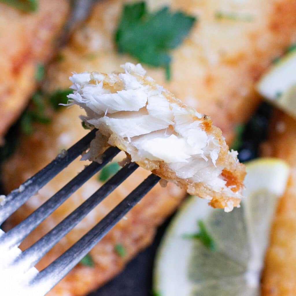 a fork holding a piece of fried tilapia