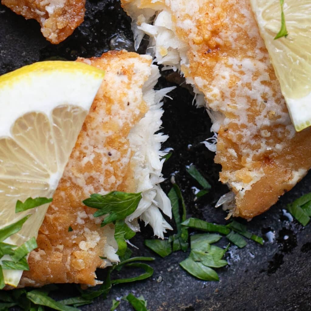 close up view of a fried tilapia filet