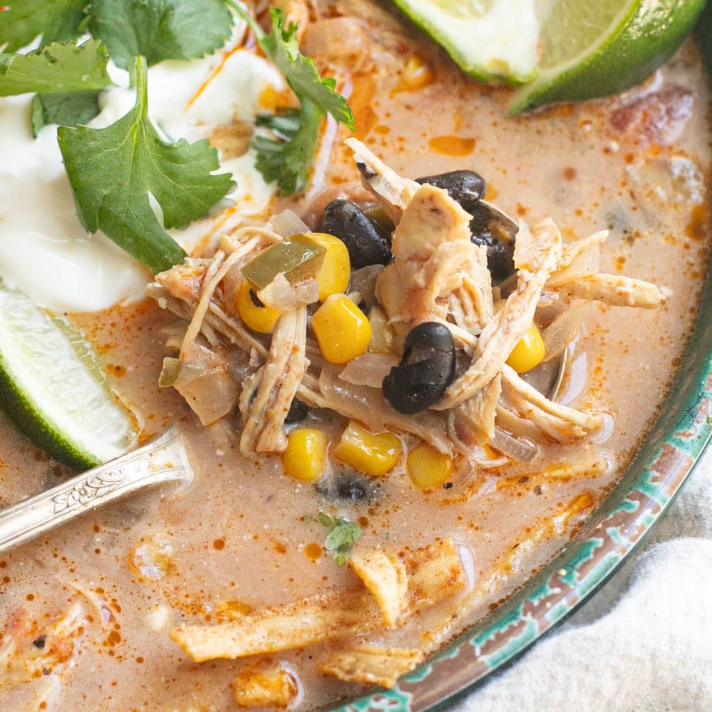 a spoonful of chicken tortilla soup