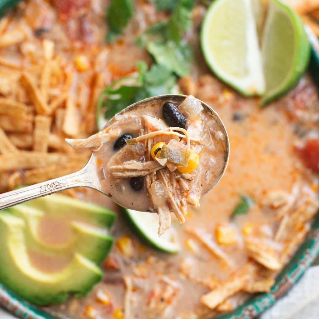 a spoonful of chicken tortilla soup