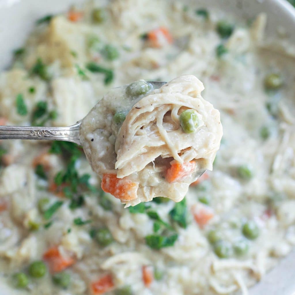close up view of a spoonful of crockpot chicken and dumplings