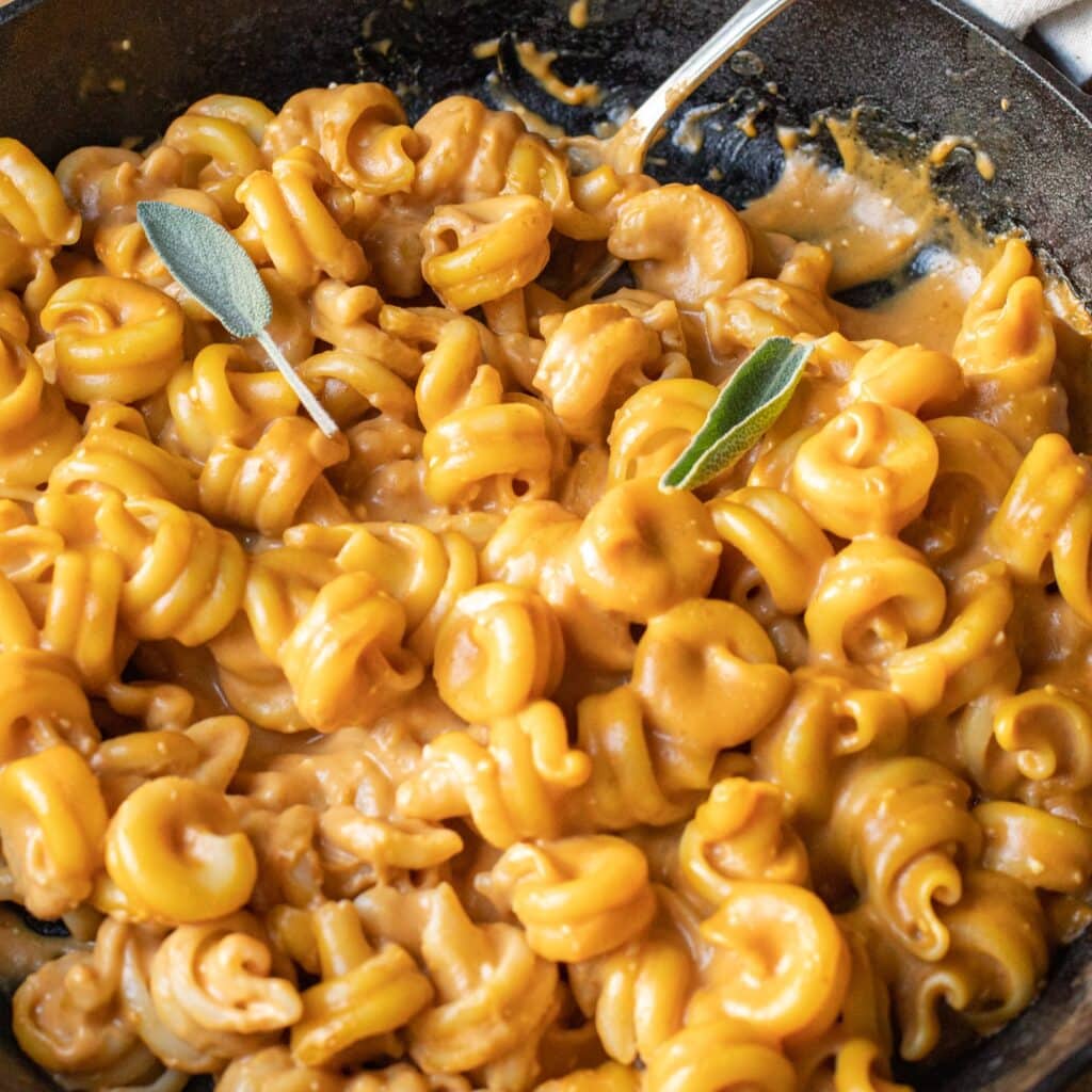 Pumpkin Mac and Cheese