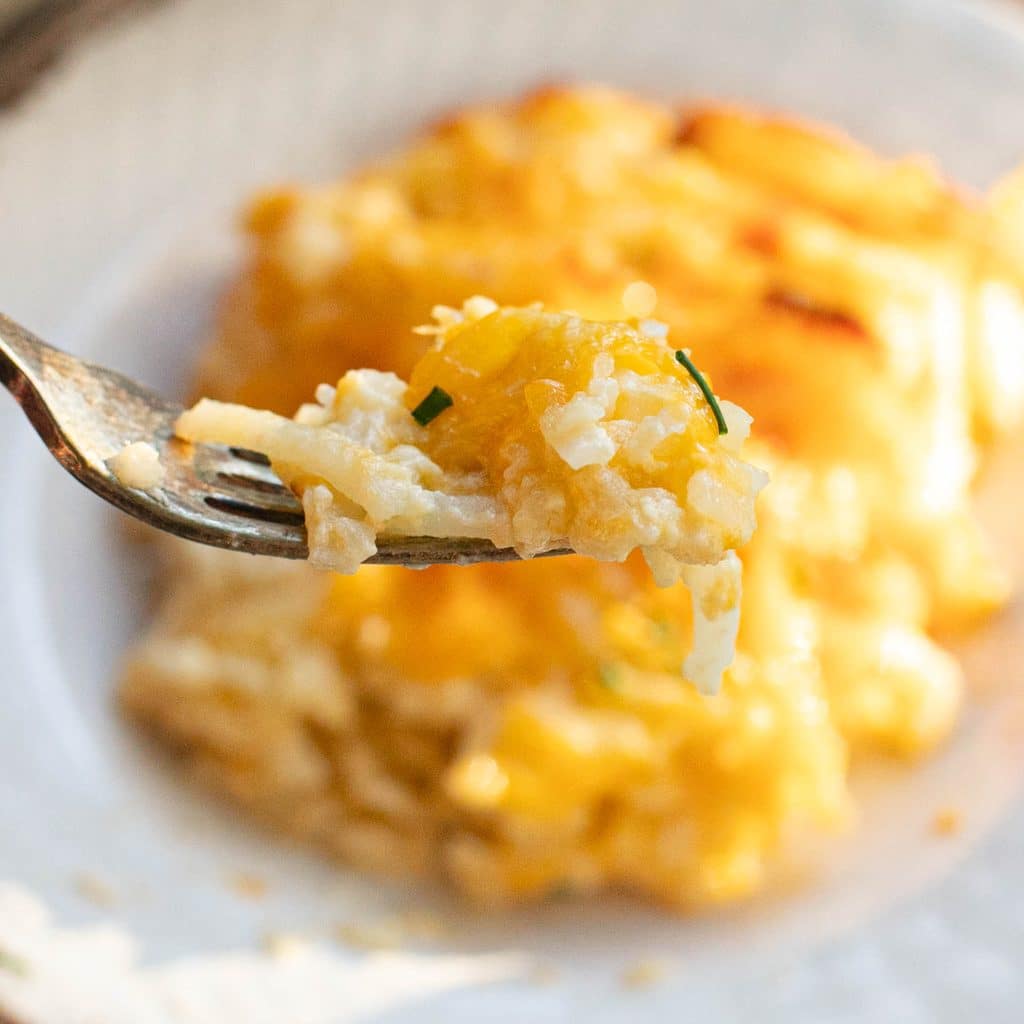 a forkful of hashbrown casserole