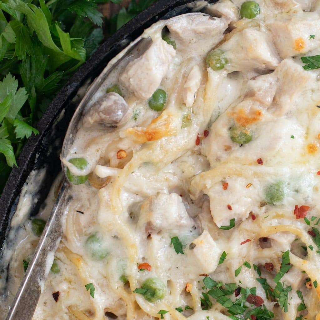 close up view of turkey tetrazzini