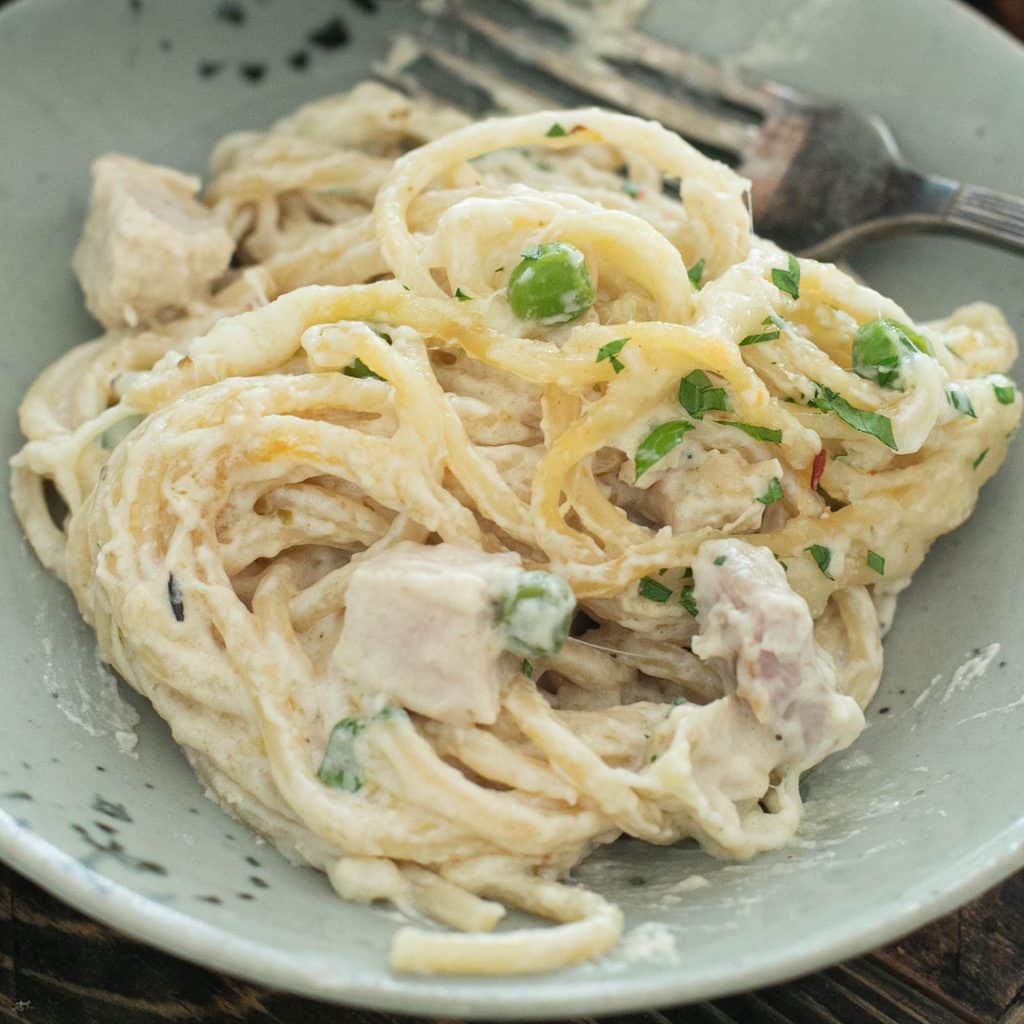 a serving of turkey tetrazzini on a gray dish
