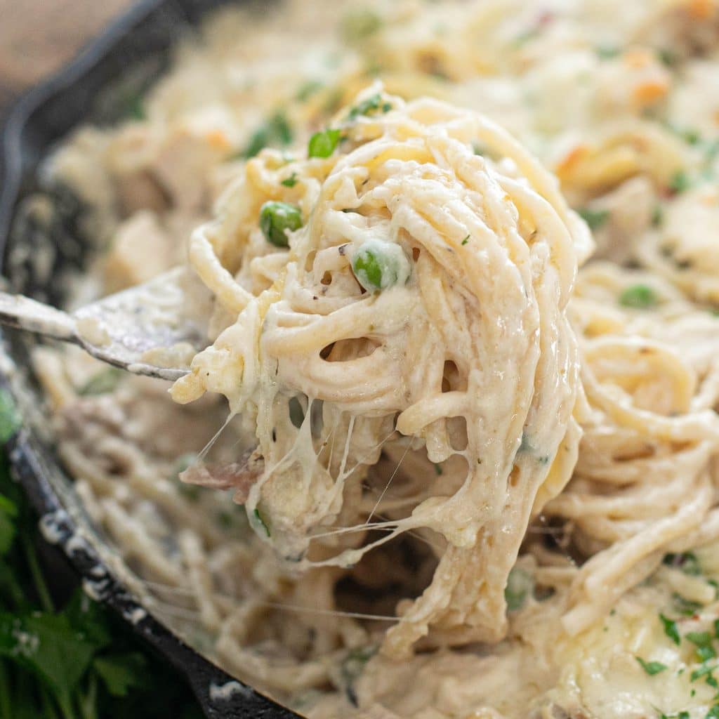 turkey tetrazzini